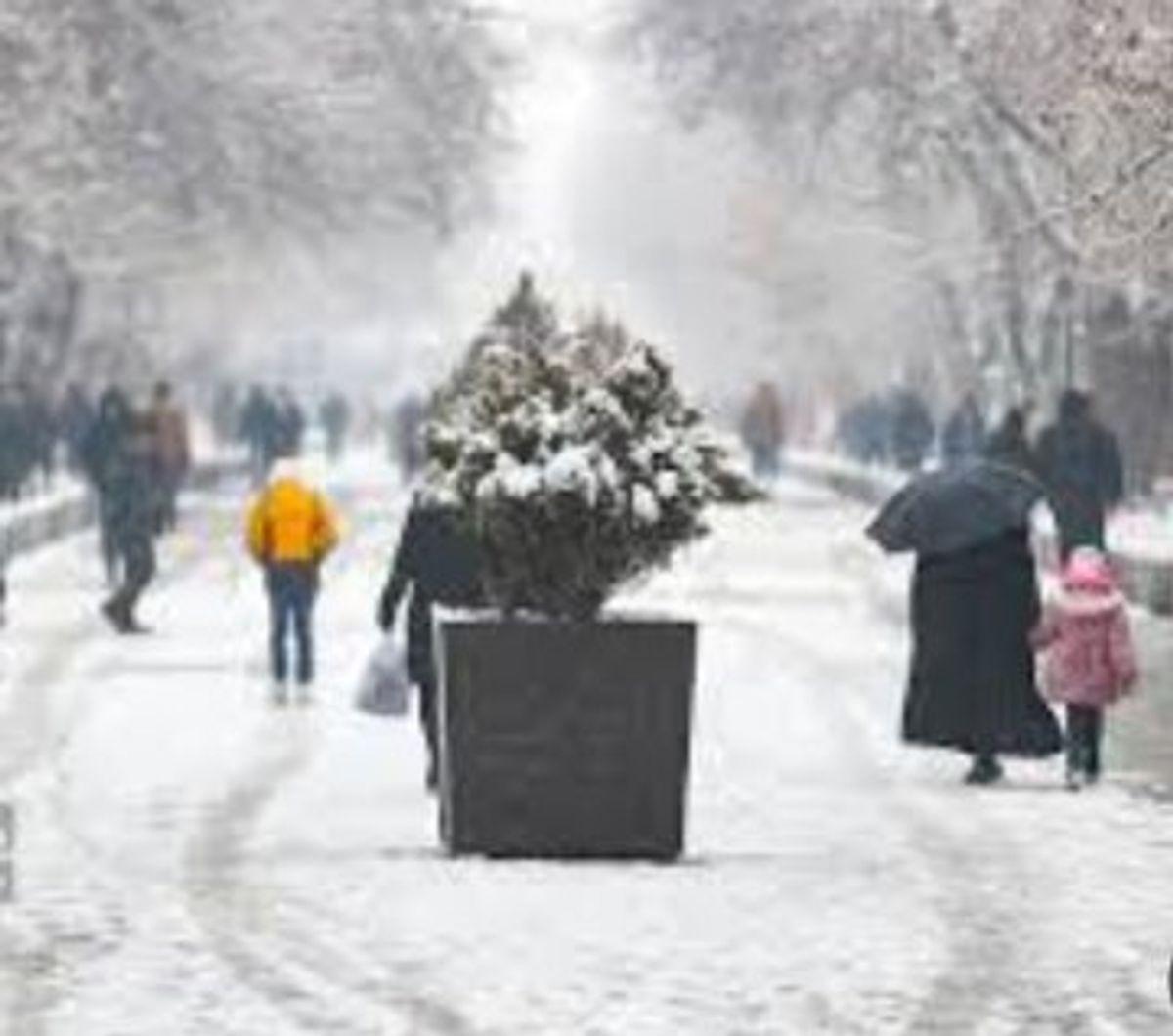 برف بالاخره از راه رسید| هشدار سازمان هواشناسی به ١٠ استان
