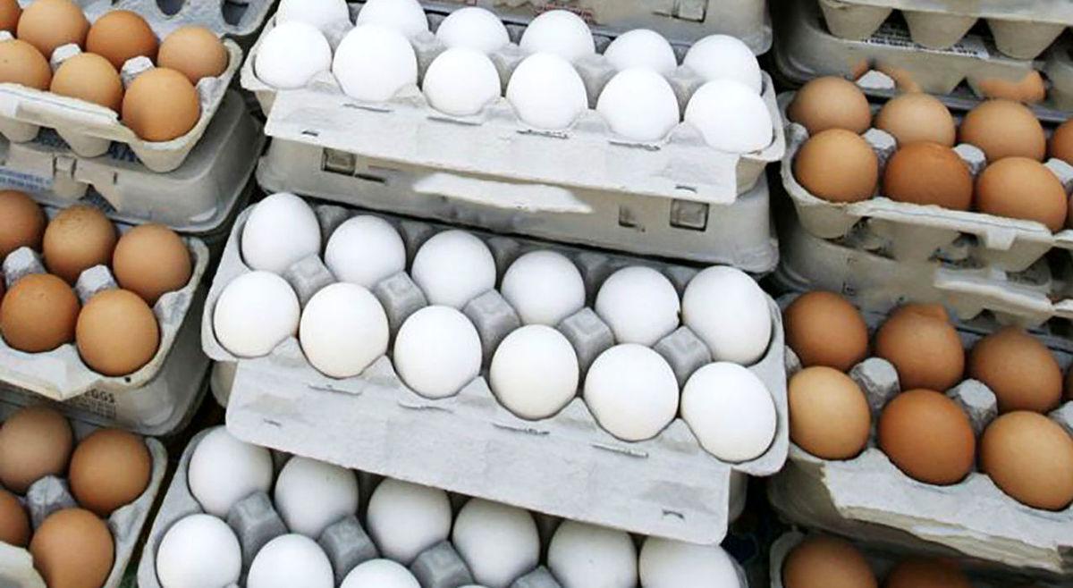 جدیدترین قیمت تخم‌مرغ در بازار روز + جدول